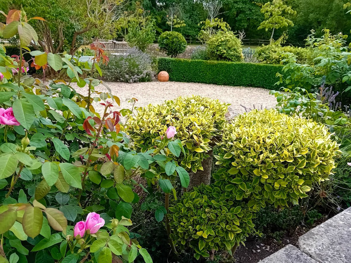 EcoChicCottages's tweet image. A drop of rain and the garden is greener already. And although our box hedging has suffered a little blight we seem to be keeping on top of it. Well done our brilliant gardener Iona. #cotswolds #boxhedging #cloudpruning #holidaycottage #Shilton #TheChestnuts