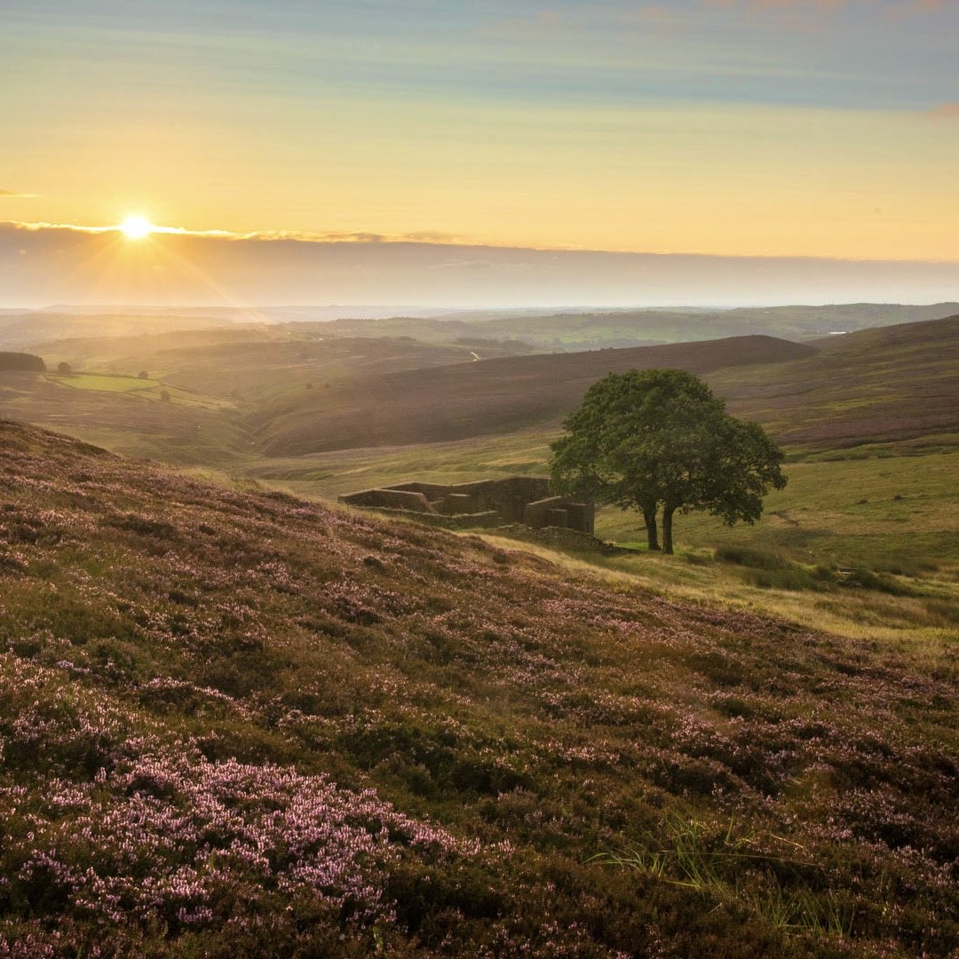 Happy Wuthering Heights Day, the joint birthday of Emily Brontë (207) and Kate Bush (67). This is the ruin of Top Withins, said to be Emily Brontë’s inspiration for the location of Wuthering Heights.