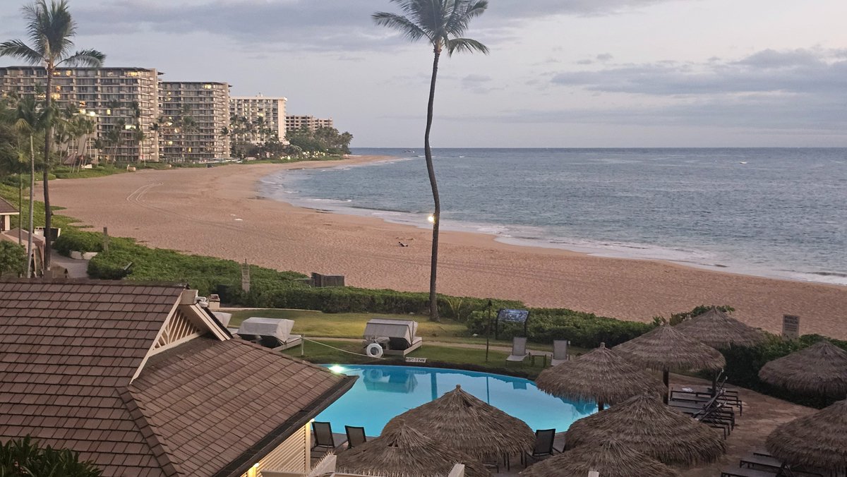 chasha2020's tweet photo. Water receding from the coast line in Maui https://t.co/U4NUGbRBoR
