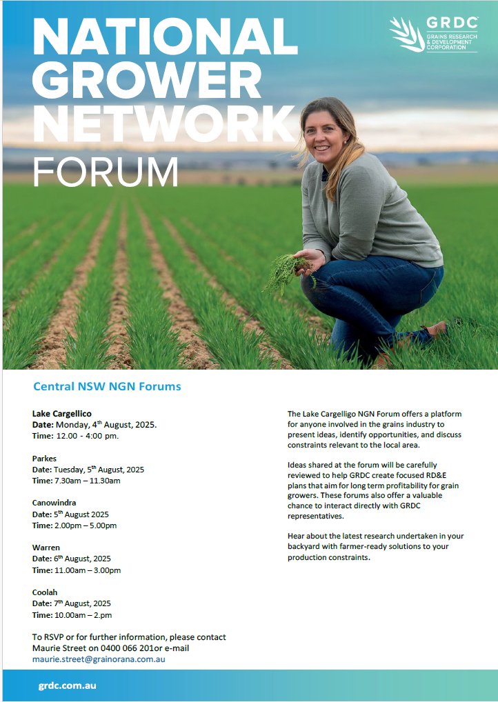 Charleton Glenn (@charleton_glenn) on Twitter photo Excited to be out and about across Central NSW with <a href="/GrainOrana/">GOA</a> delivering #NGN forums. These are an opportunity to share ideas and engage with discussion to help prioritise potential areas of research for #graingrowers <a href="/GRDCNorth/">GRDC North</a> Excited to be out and about across Central NSW with <a href="/GrainOrana/">GOA</a> delivering #NGN forums. These are an opportunity to share ideas and engage with discussion to help prioritise potential areas of research for #graingrowers <a href="/GRDCNorth/">GRDC North</a>