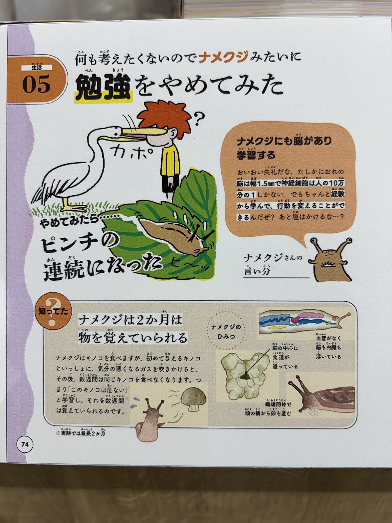 ざんねんな人 職場のざんねんな人図鑑 やっかいなあの人の行動には、理由が