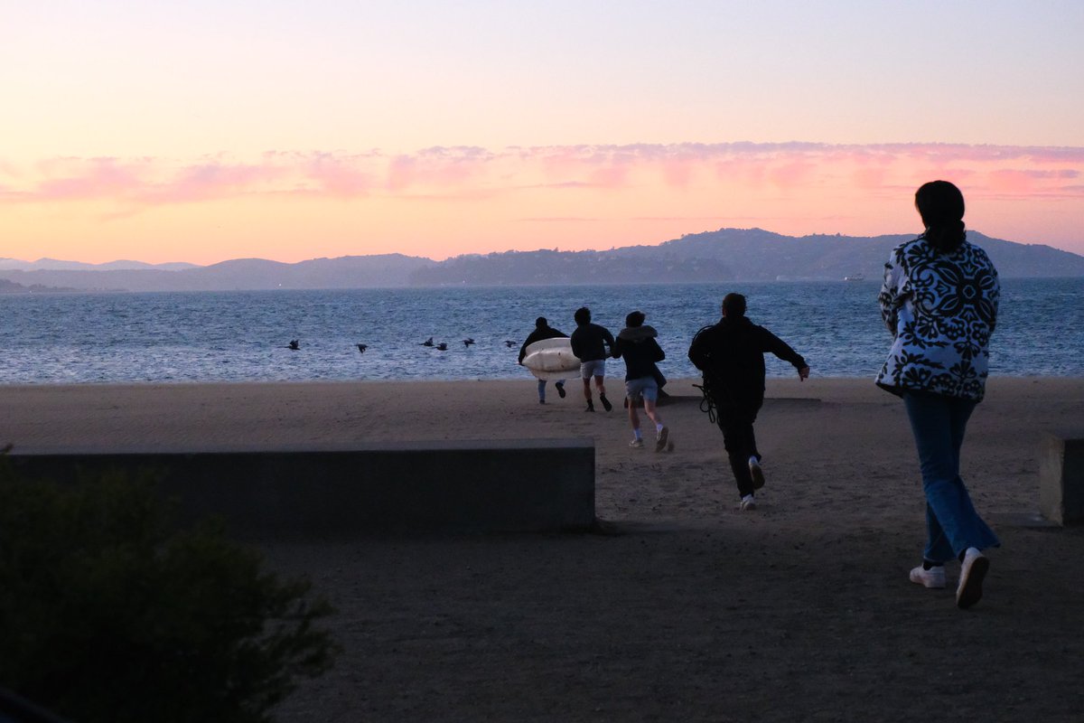 Sam Mendel tweet media