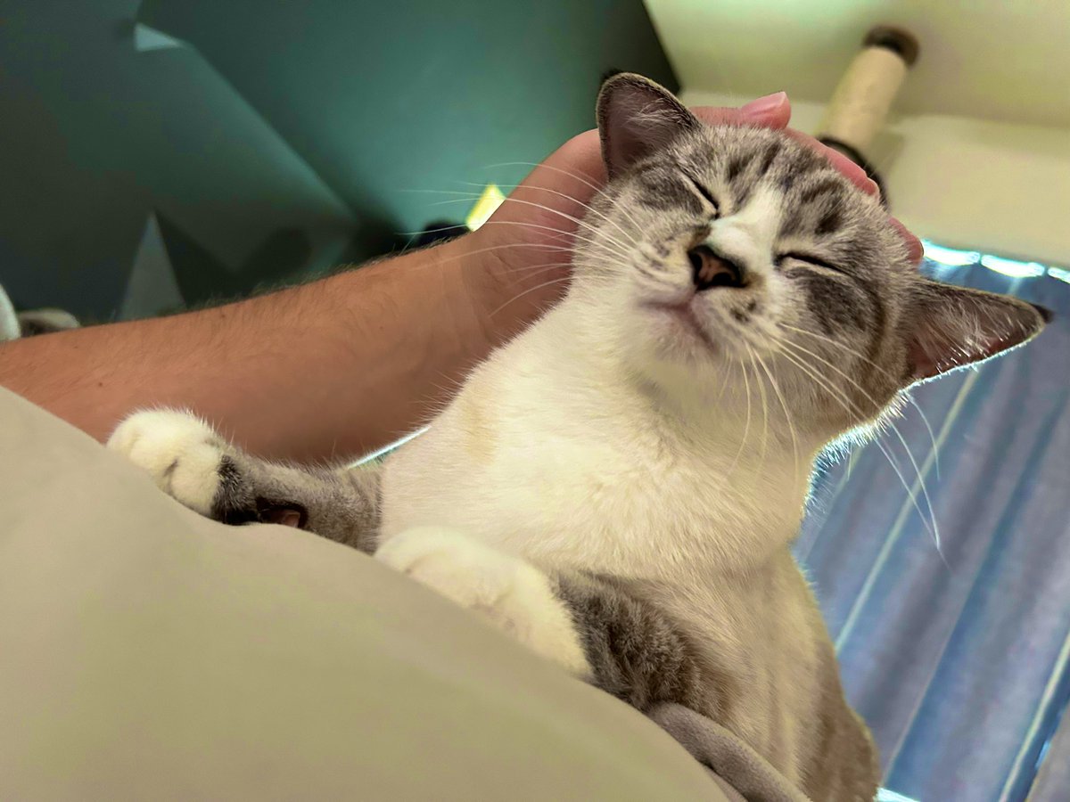 やっぱ我が家が1番や