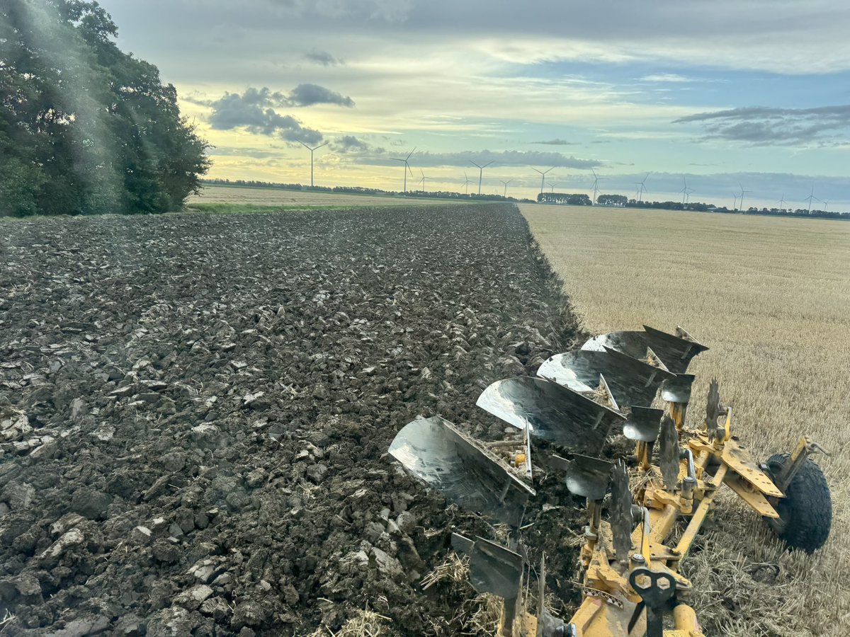 Bodemleven is dood, de vogels zijn nog met vakantie of zijn geen vroege vogels