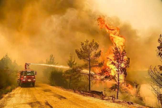 Arakanwill's tweet photo. PRAY FOR TURKEY 🤲🇹🇷

BREAKING: Wildfires in Bursa, Turkey, have caused widespread destruction, forcing the evacuation of over 1,700 people. Firefighters are battling the flames, which are being fueled by high temperatures and strong winds. https://t.co/rFJl5T4RIE