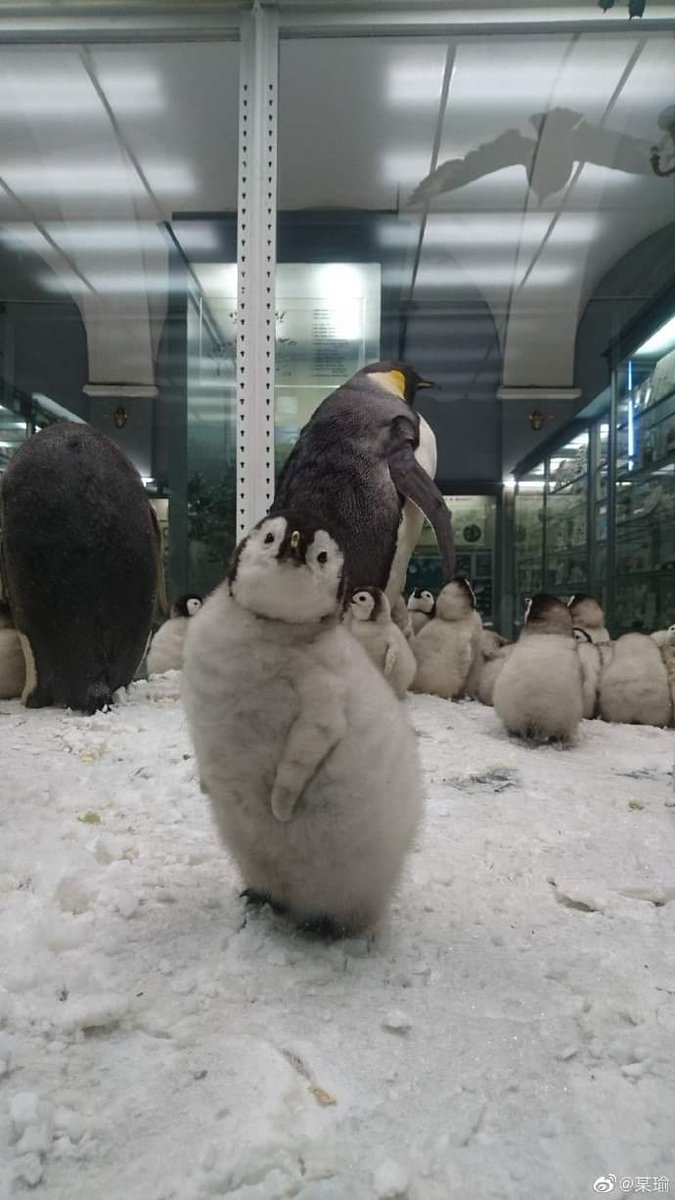 我真的是喜靜的人
真的...🙂‍↕️