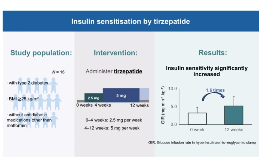 Early induction of insulin sensitisation treated by tirzepatide: a prospective, single-arm, open-label study in Japanese individuals with obesity and type 2 diabetes
link.springer.com/article/10.100…