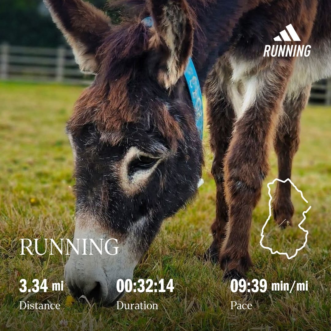 ClivePoole's tweet photo. The penultimate plod of the challenge! ❤️ Looks like Garmin have gone a bit early! 🤔 Definitely 31 days in July mind! 😂🏃‍♂️ RED July, in support of The @DonkeySanctuary . Any donations appreciated! @UKRunChat #ukrunchat #doitfordonkeys ❤️   https://t.co/ZbUqBpGz2Y https://t.co/2Ac0XnFBDM