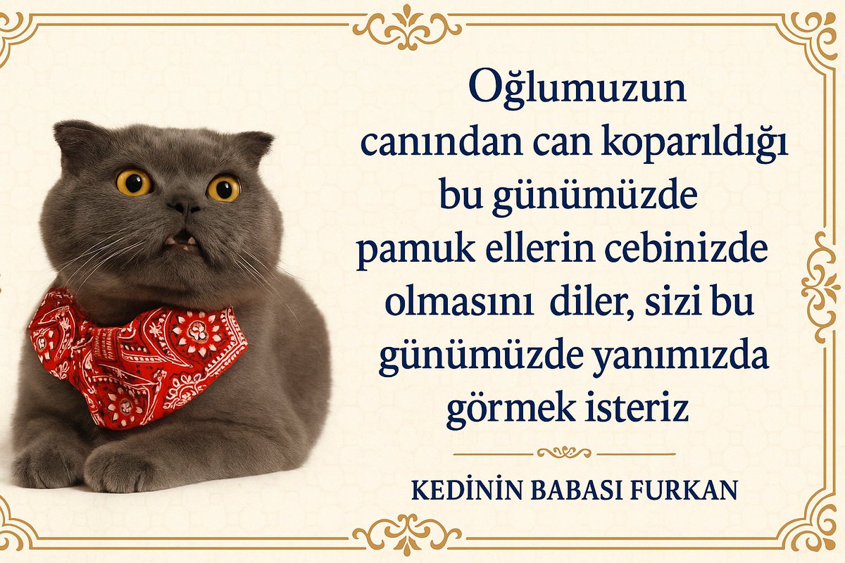 Mprlk1's tweet photo. Kedim Dumanı kısırlaştıracağız. Bu özel günümüzde sevenlerini takı takmaya bekleriz. https://t.co/2YR42la1UH