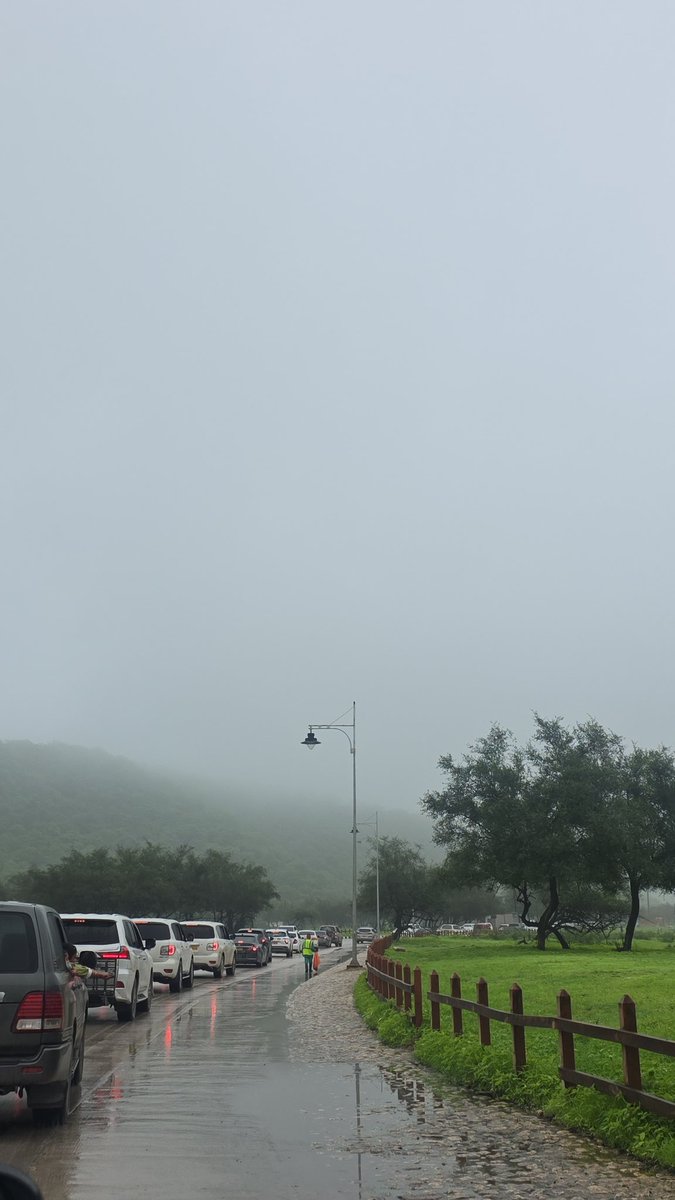 m91s92's tweet photo. #Dhofar #Oman  #خريف_ظفار_2025 https://t.co/xEpwrdCbcC