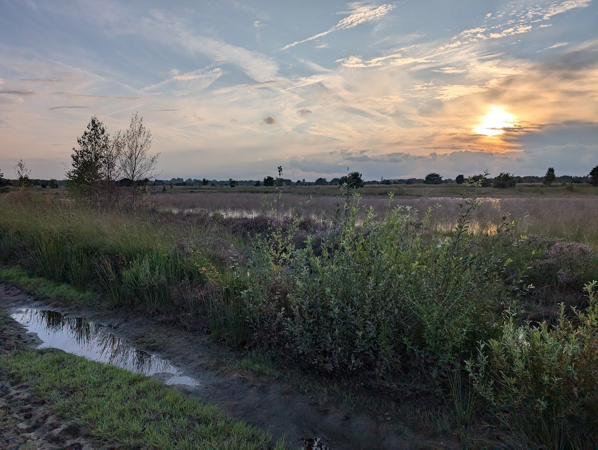 Een hele fijne en waardevolle dag gewenst. Maak er een iets moois van en geniet van wat je ook doet  of gaat doen. Goedemorgen <a href="/Toob_Alers/">Toob Alers</a>, <a href="/RijschRijnland/">Rijschool  Rijnland</a>, <a href="/gemmie_walet/">Gemmie Walet</a>, <a href="/tina2269/">Bettina</a>,  <a href="/Edwin_Staal/">Edwin Staal</a>, <a href="/lief1909/">Madelief vd R</a>, <a href="/Edwin_Staal/">Edwin Staal</a>, <a href="/ingridwittert/">Ingrid Schouten🇮🇹🇳🇱</a>, <a href="/MRTfotografie/">Marianne Rouwendal</a>.
