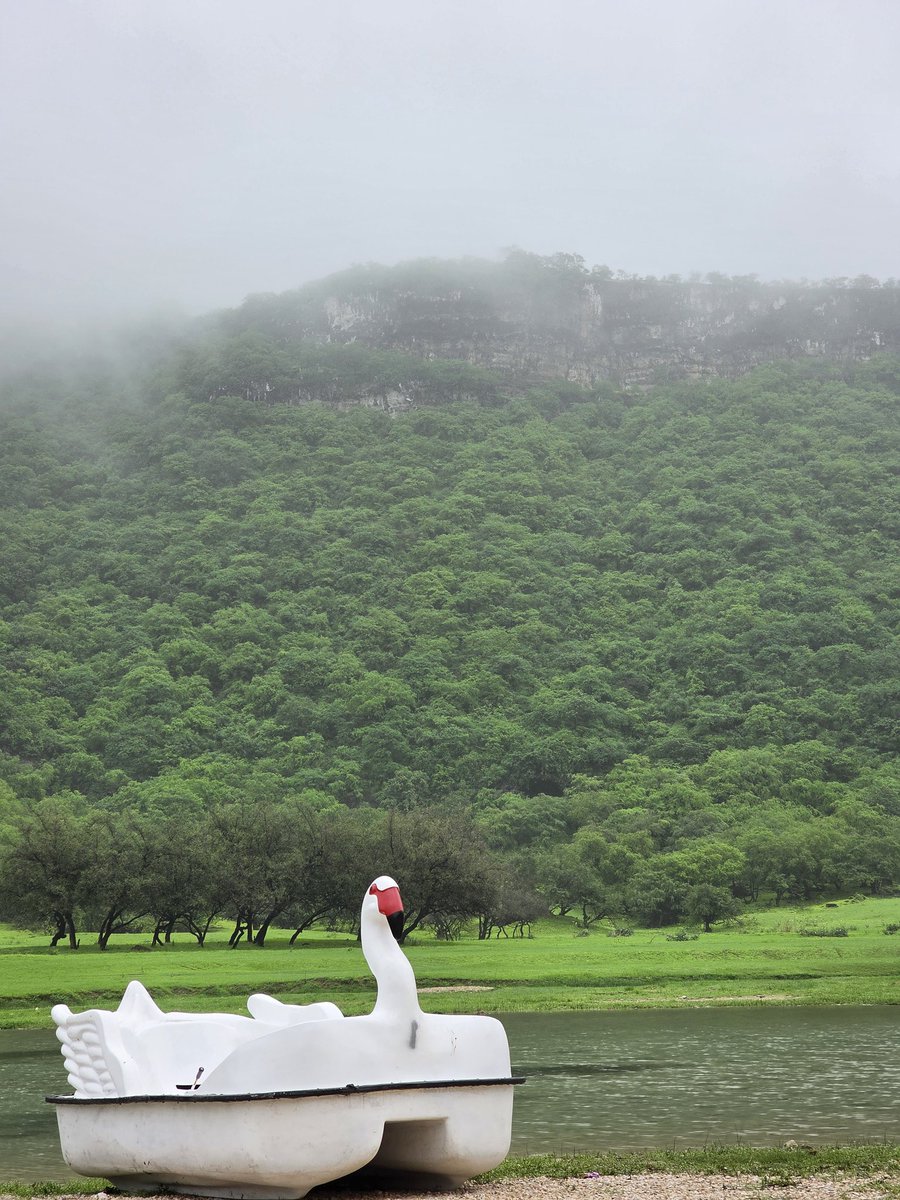 m91s92's tweet photo. #Dhofar #خريف_ظفار_2025 https://t.co/S3GIYgOabv