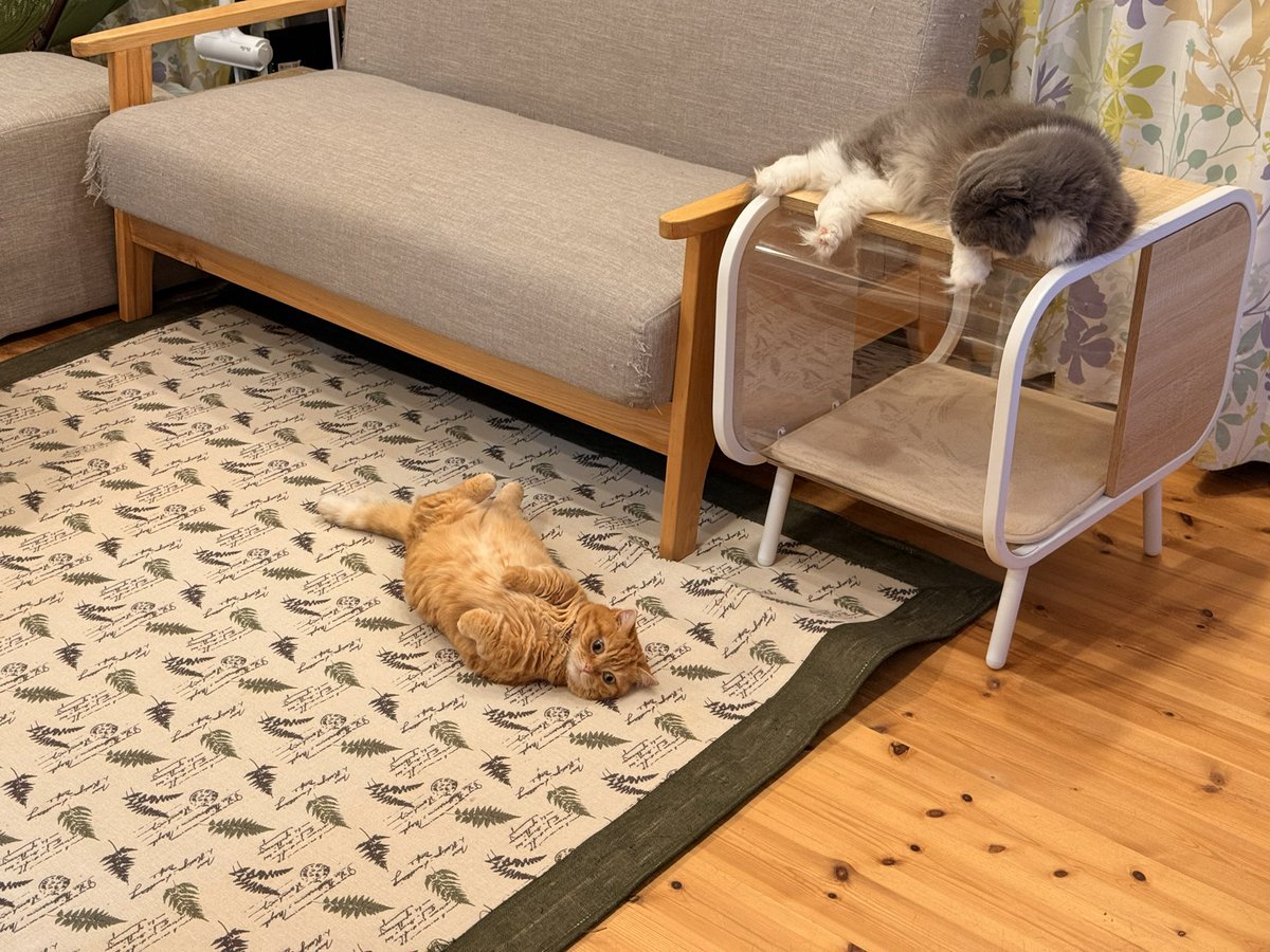 エアコンガンガンの部屋でゴロゴロしたい