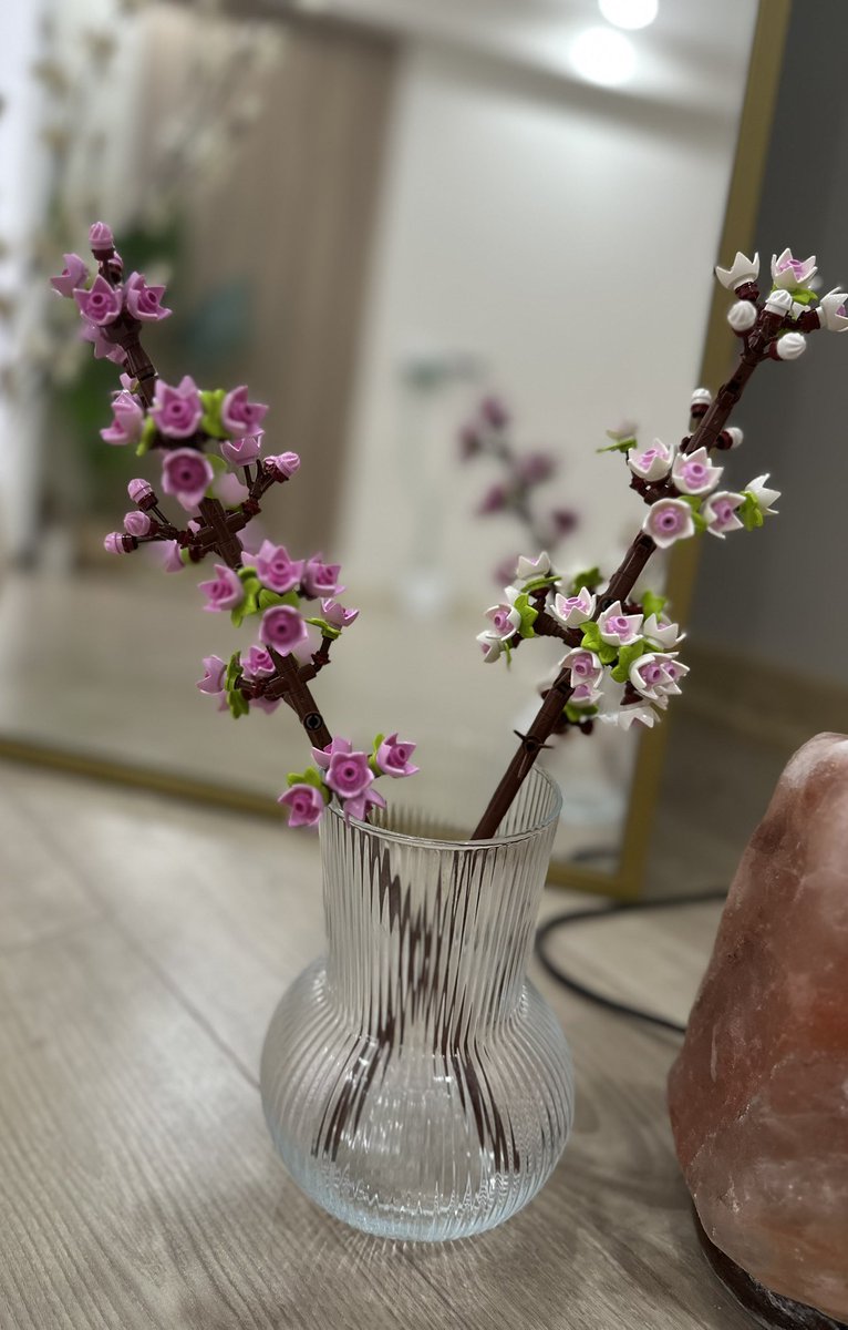 Ayşegül (@eraysgul) on Twitter photo 