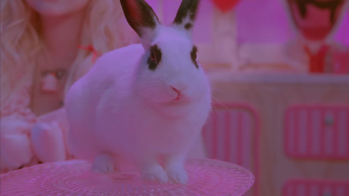 監督させていただきました🐇🍫
Яu-a
『Ruby Chocolate』
.
.
.
人型チョコレートがうさぎの胃袋の中で擬人化するMVです୨୧⑅︎*
是非ご覧ください
youtu.be/PxBNvY15u5M?si…