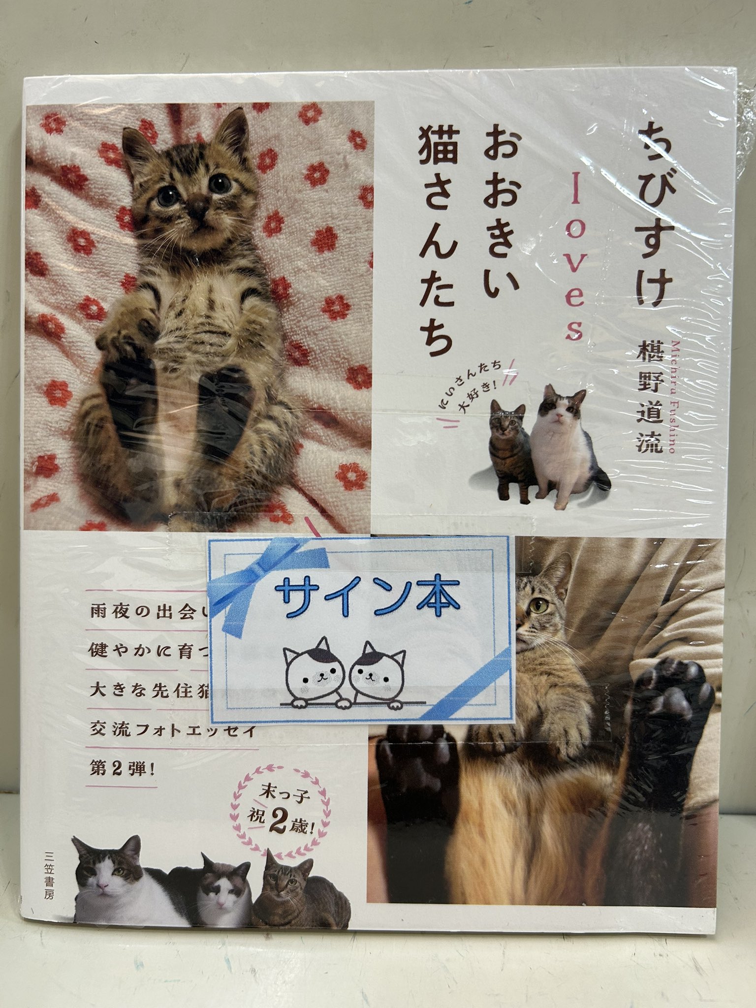 彗猫@プロフィール必読 An overly obedient genius cat that jumps at the call of its