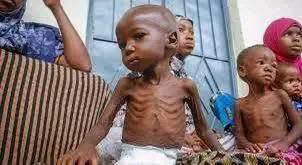 Thirteen children have died from starvation in a displacement camp in Sudan's East Darfur state, doctors said on Tuesday, highlighting a spiralling humanitarian crisis as a separate cholera epidemic sweeps through other parts of the war-torn region.
sudantribune.com/article303389/