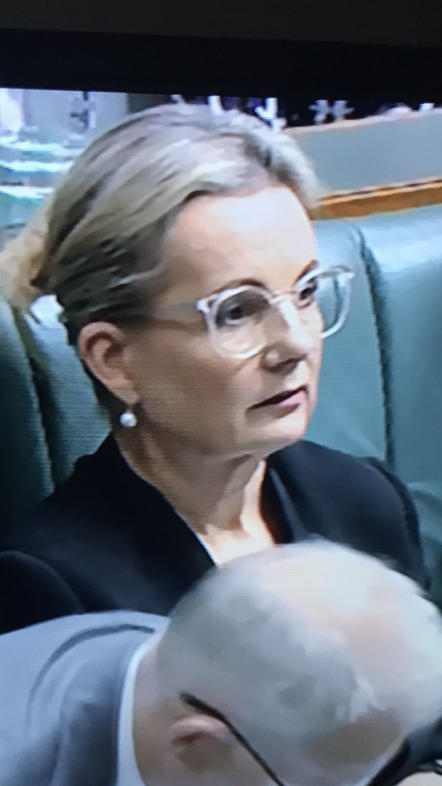 Igh0108's tweet photo. #SillySussan Ley delivered the #Dixer of the year #qt 🤪 https://t.co/6ZjiDiDHFk