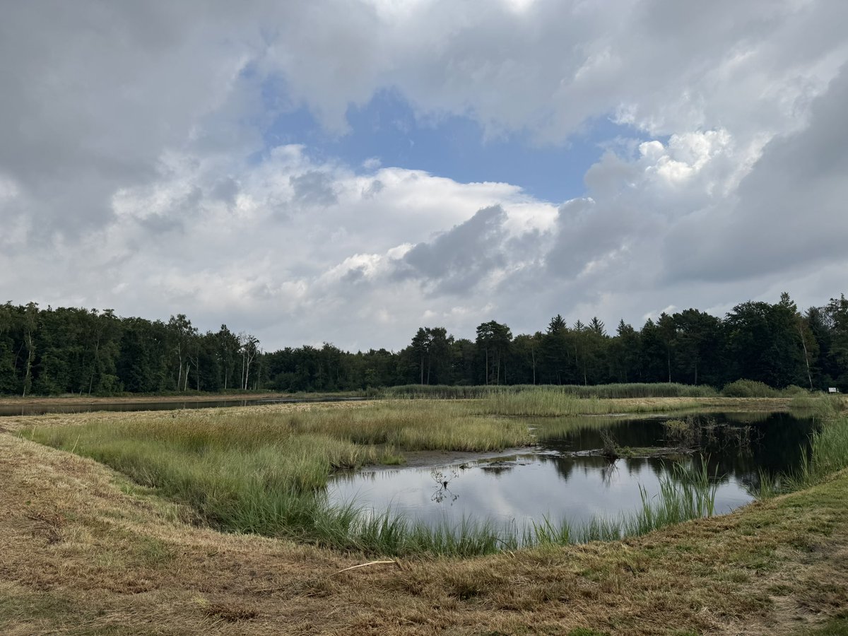 Kultuz's tweet photo. #vrtweer Kiewit, 10.50u https://t.co/aPlLSYdYVg
