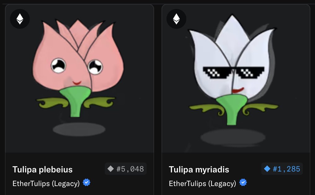 Are you this old? 

EtherTulips minted 8 years ago 🌷

Actually getting bids on these NFTs again 😅