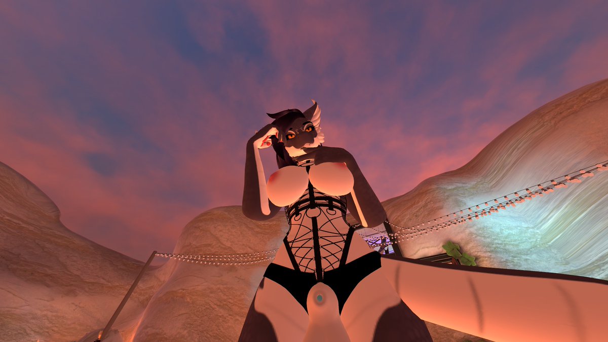 grayfoxy (@grayfenrir84408) on Twitter photo 