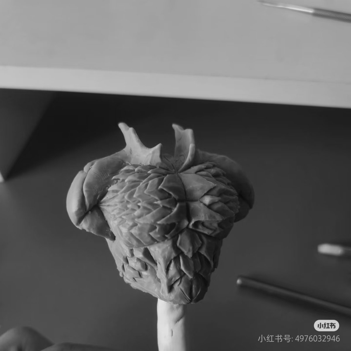 char shanzha tweet media