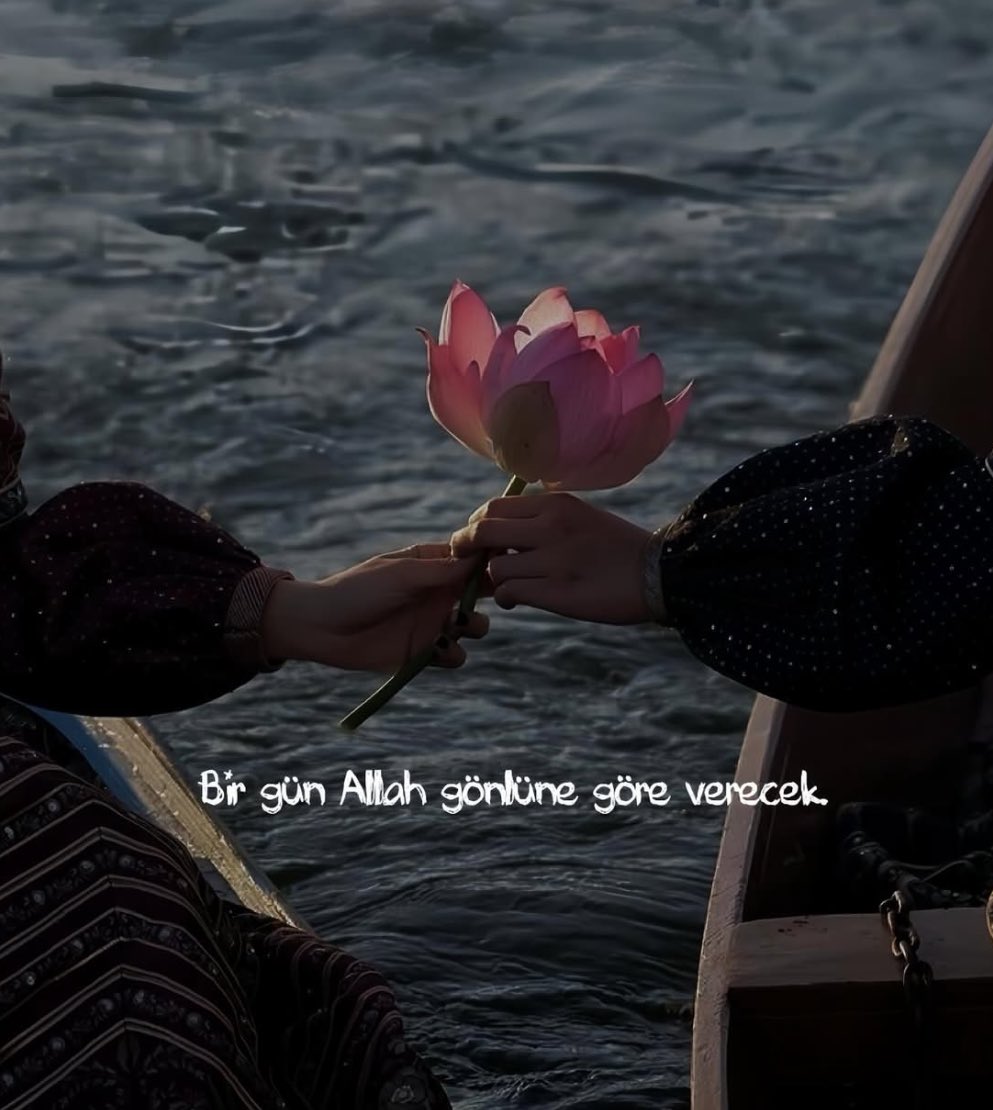 Monna Rosa (@ayaserenat) on Twitter photo 