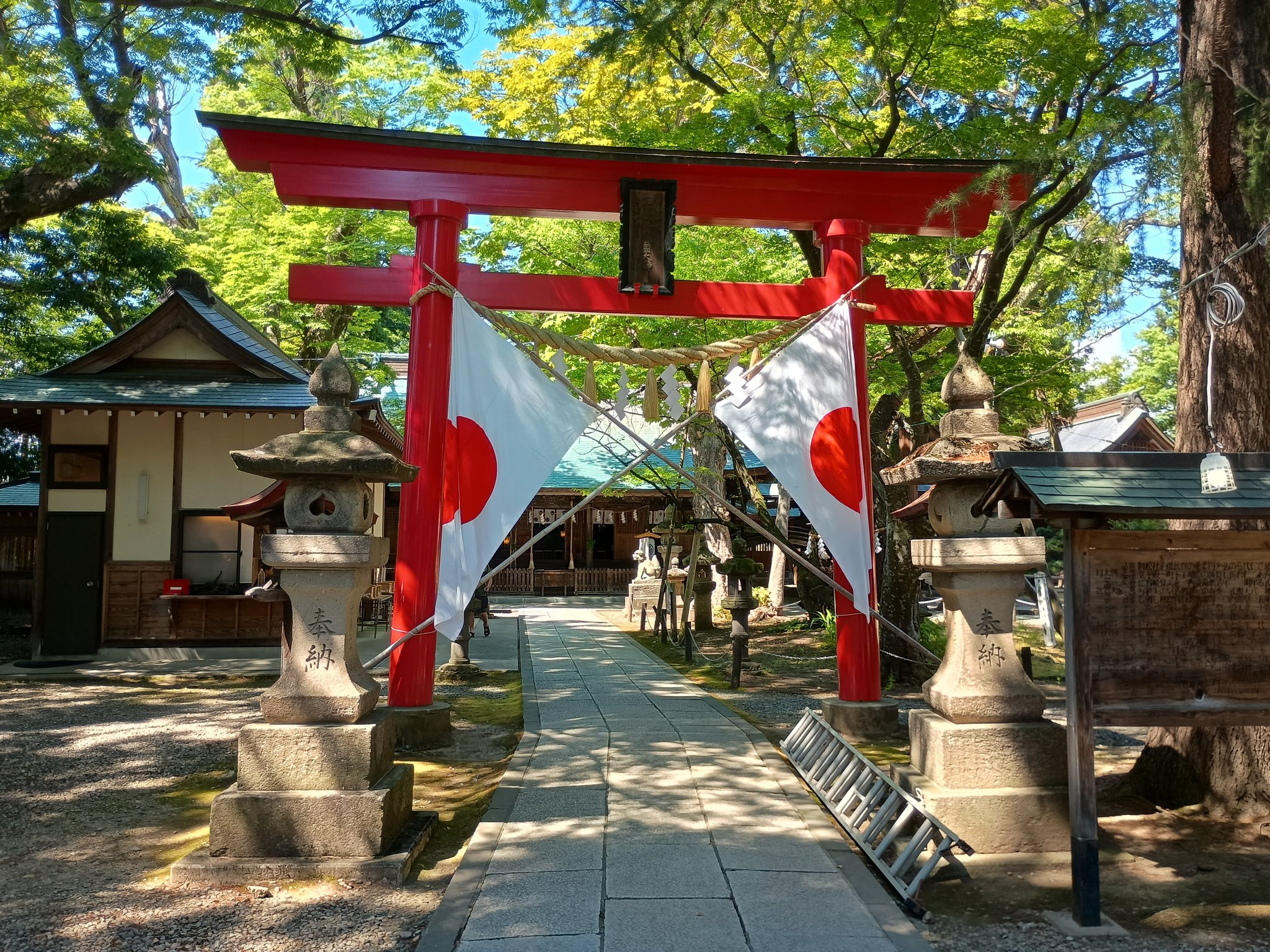 どんくん どんくん (@don_koro) / X