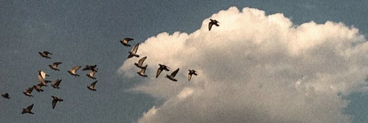 Her şey insana feda iken, insan kendine cefâ olmuştur.