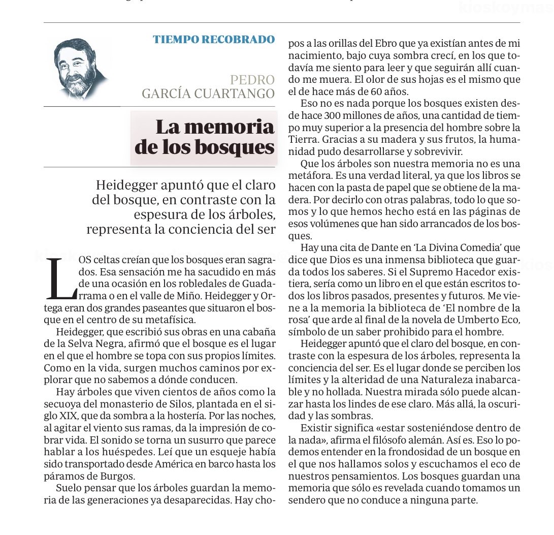 Heidegger sostuvo que el claro del bosque representa la conciencia del ser. El bosque pone a los hombres frente a sus propios límites.
