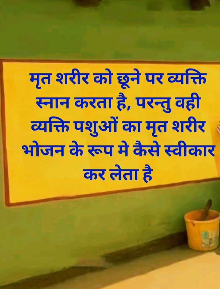 इन्सान है कि समझता ही नही 👇🏻👇🏻