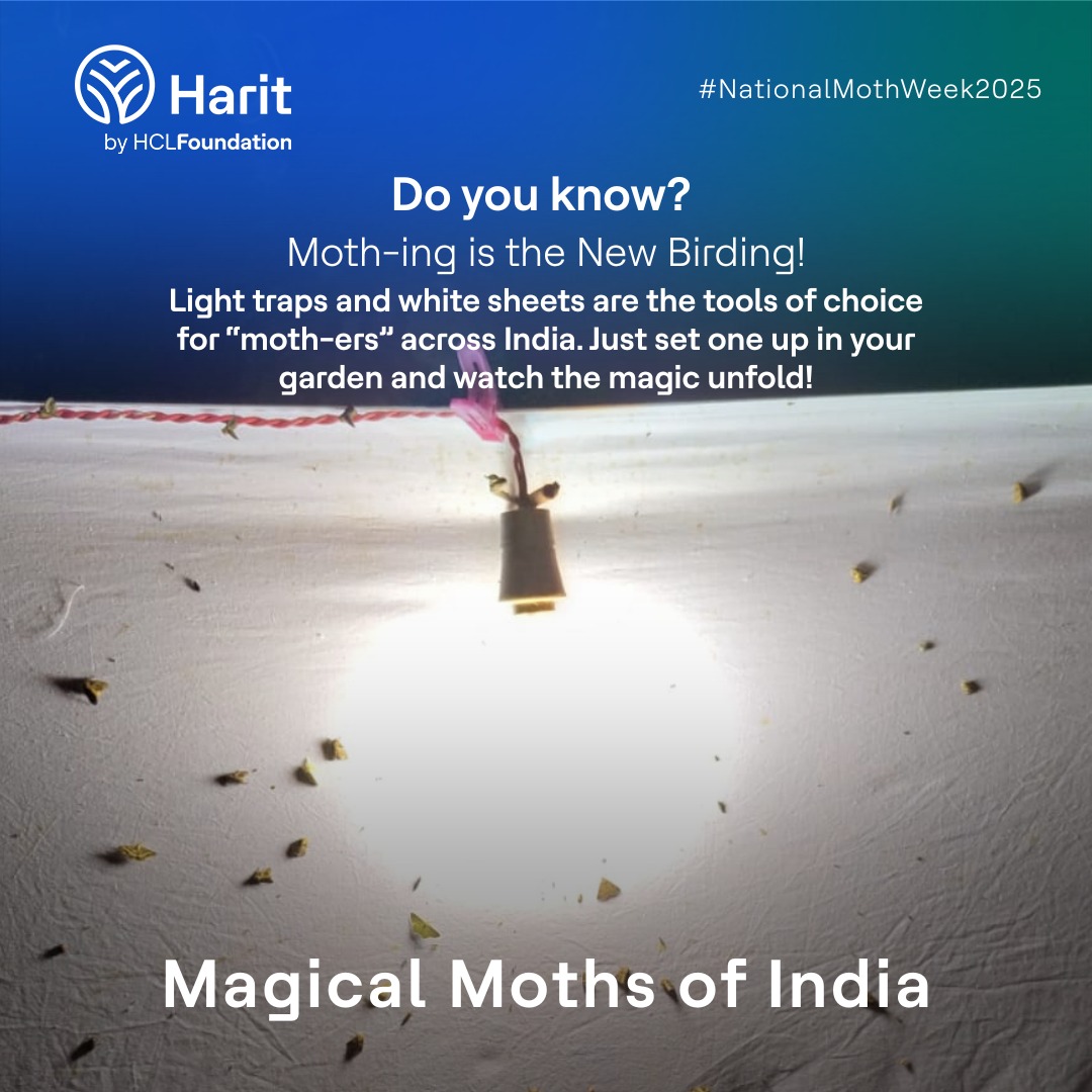 Ever tried “mothing”? It’s the quieter, gloomier cousin of birdwatching!
During National Moth Week, enthusiasts across India set up light sheets and discover hundreds of moth species.
#NationalMothWeek2025 #CitizenScience #MothAwareness #HaritbyHCLFoundation #HCLFoundation
