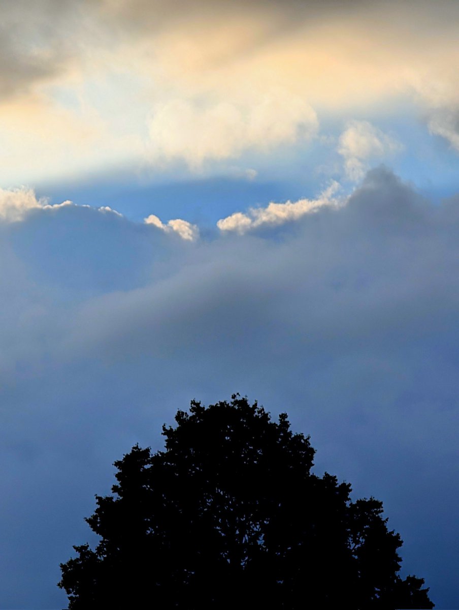 Morgenlicht. Bonn. 30. Juli 2025.
