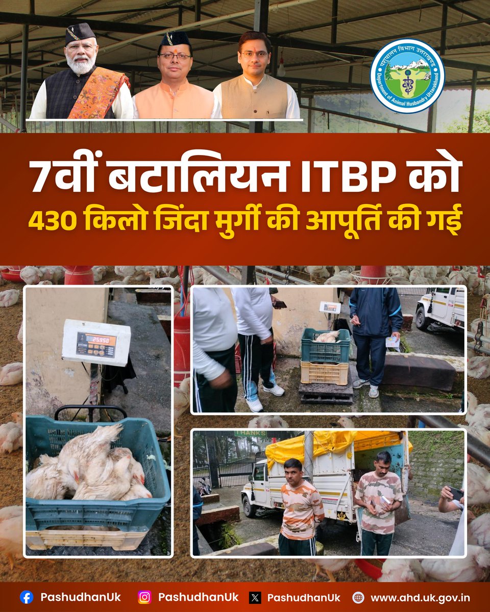 7वीं बटालियन ITBP को 430 किलो जिंदा मुर्गी की आपूर्ति की गई।