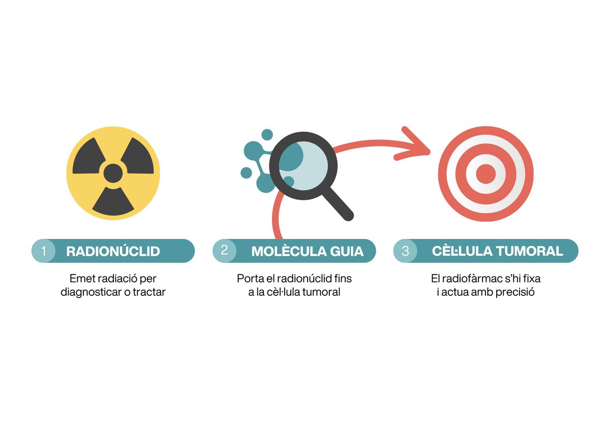 🎯 Com un míssil intel·ligent contra el càncer

🏥 L’#hbellvitge i l’ <a href="/ICO_oncologia/">Institut Català d'Oncologia</a> lideren a Espanya una nova estratègia en el tractament dels tumors avançats: la teragnosi.

🔬 Diagnòstic i teràpia en una sola eina, amb radiofàrmacs de nova generació que ataquen el tumor de