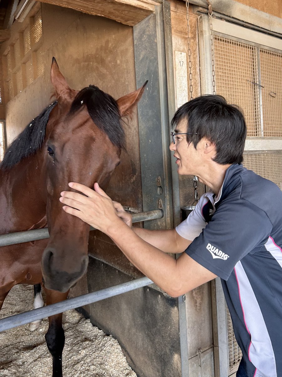 競馬場で買ったものやもらったものの詰め合わせ 競馬場で買ったものやもらったものの詰め合わせ