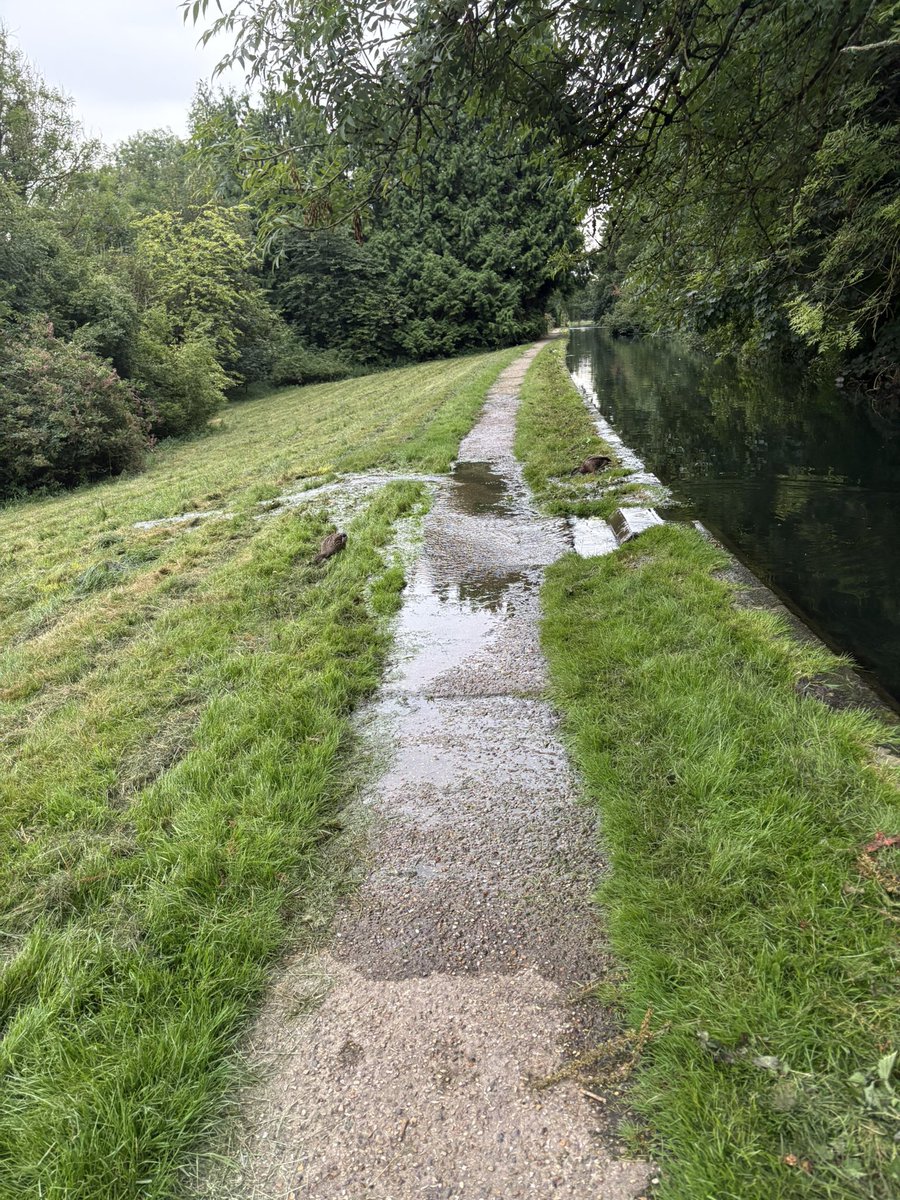 Reported an overflow via X, WhatsApp and given up on the ‘leak reporting’  website as water pours out the ‘New River’ in Ware when it can be controlled.  So much waste and no response 😔 <a href="/thameswater/">Thames Water 💧</a> #NeedWelliesToGetToWork