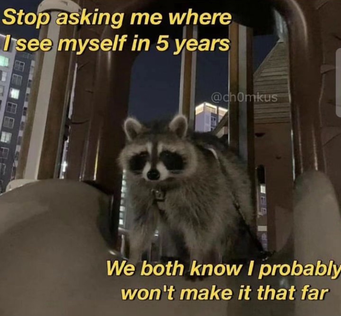 raccoon aesthetic. (@raccoonesthetic) on Twitter photo 