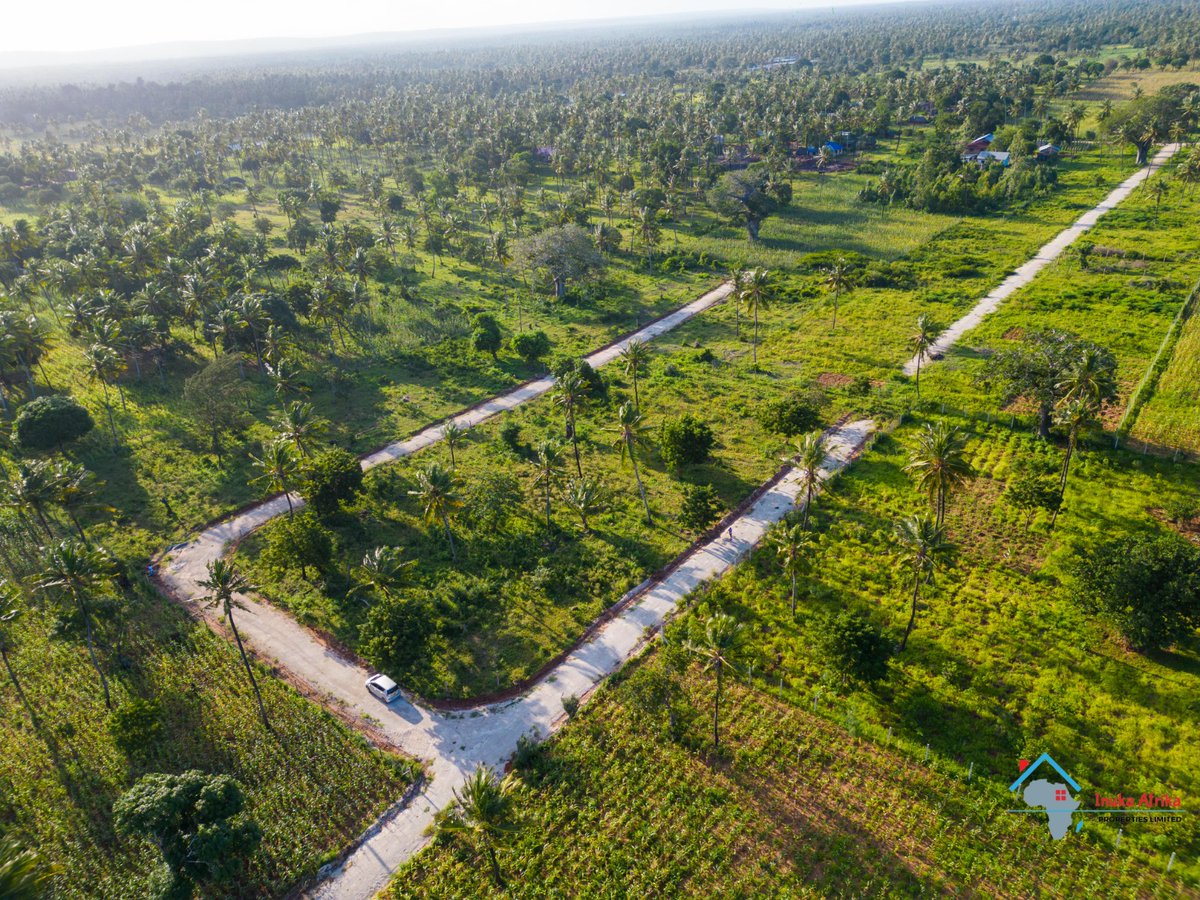 Chumani plots
For just 550k. Deposit is 150k.
4km to Chumani beach.