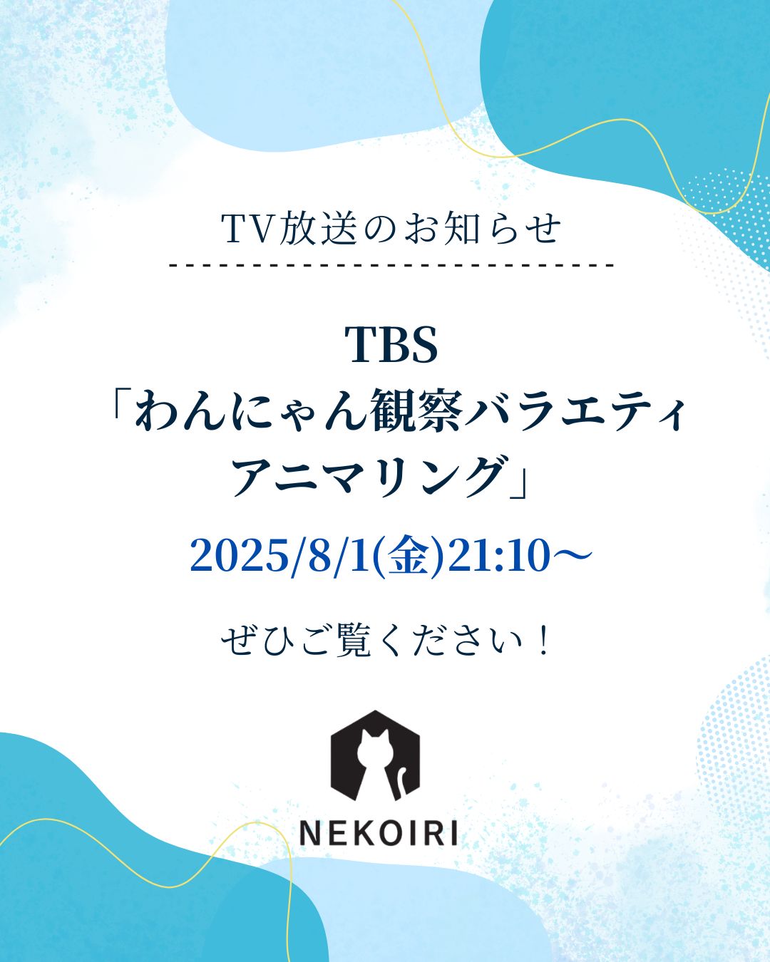 こてつページ こてつ&こむぎ＆こたろう (@kotetsu0414) / X