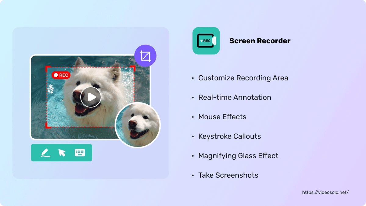 VideoSolo tweet media