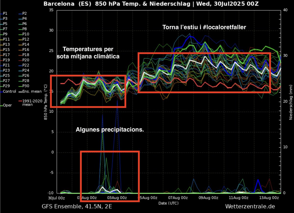 Àlex Van der Laan tweet media