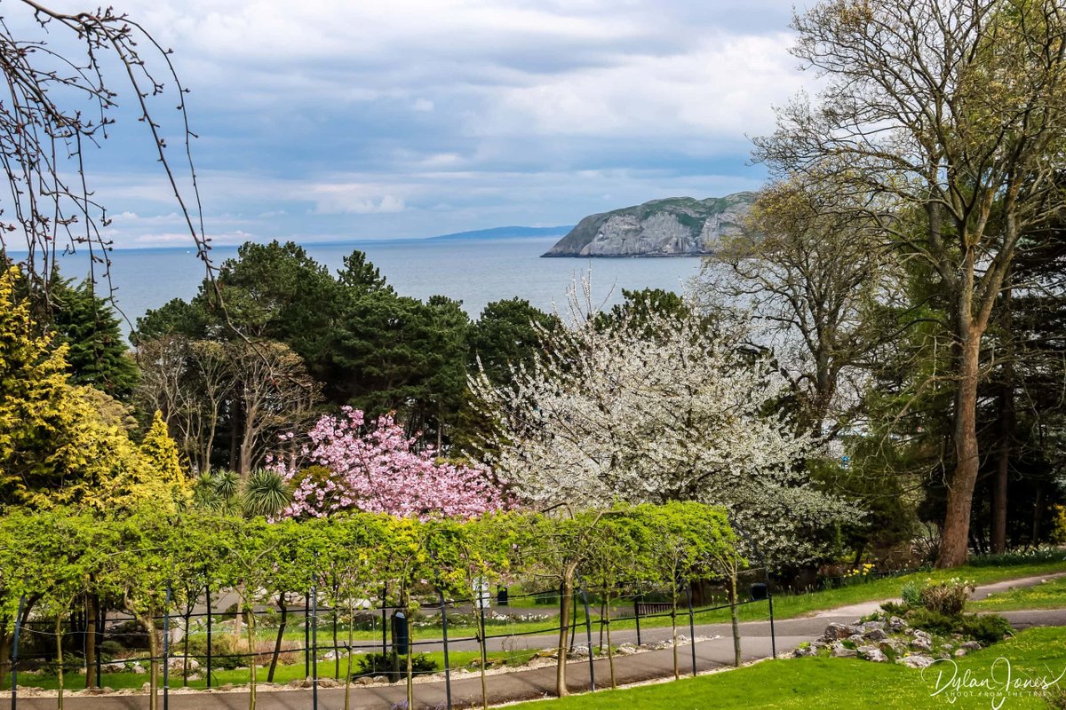 Shoot from the Trip tweet media