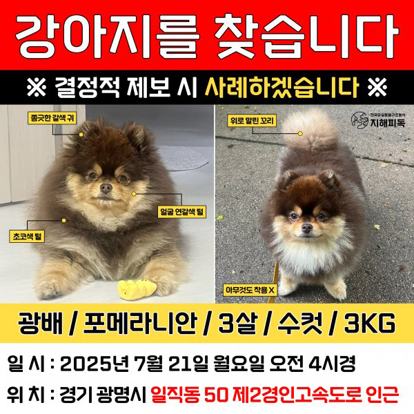 동물보호센터 tweet media