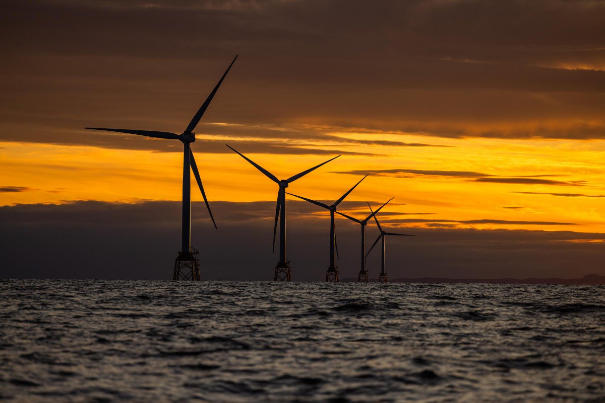 TalentScotland tweet media