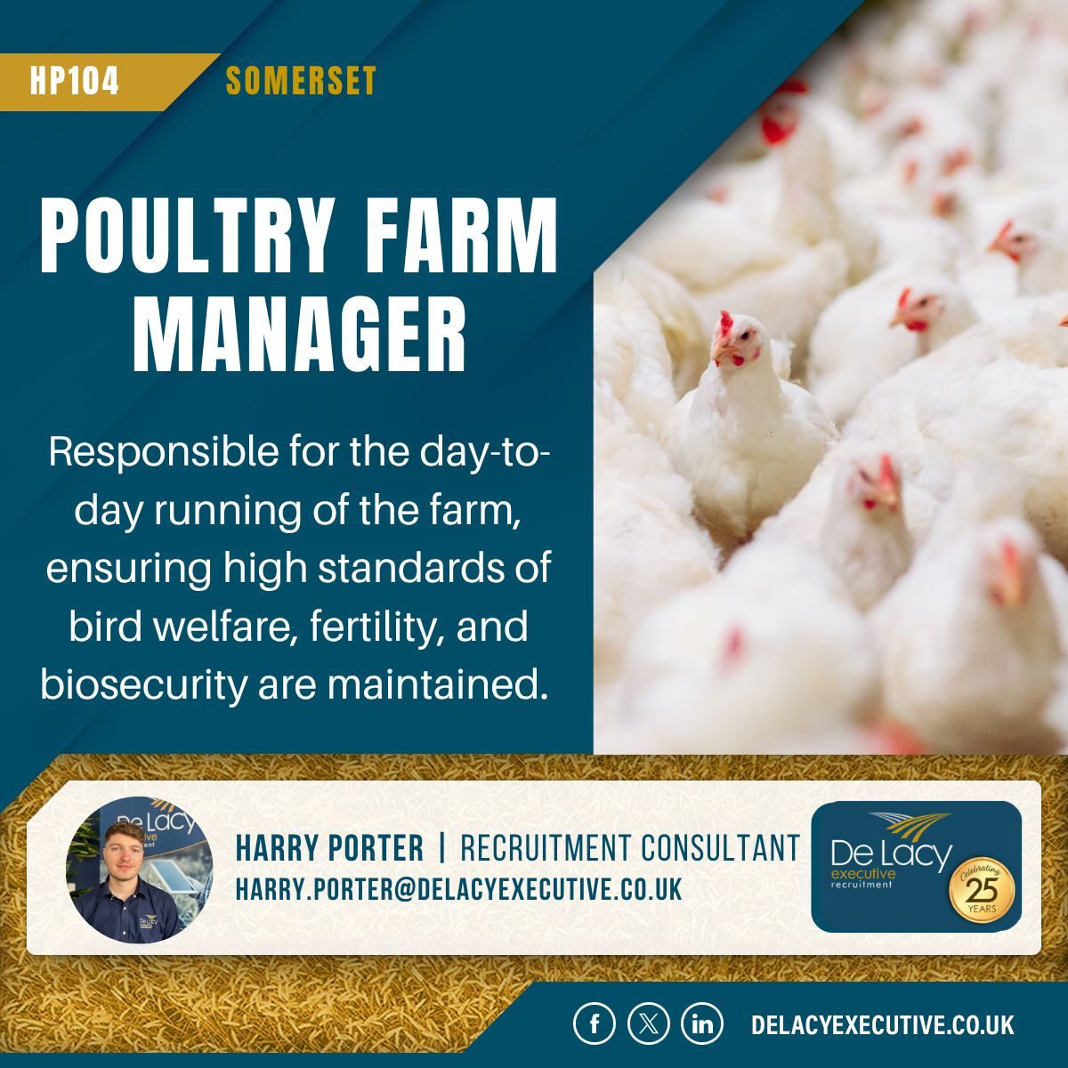 Are you an experienced Farm Manager, an ambitious Assistant, or a graduate with poultry experience?

Apply here: delacyexecutive.co.uk/jobs/hp104-pou… 

Candidates will be responsible for the day-to-day running of the farm, ensuring high standards of bird welfare, fertility, and biosecurity