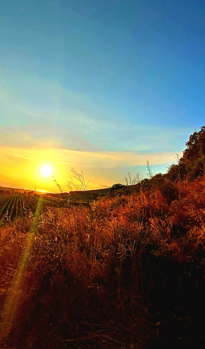 Buongiorno così...
❤️🔥🌹🎵

youtu.be/LHcP4MWABGY?si…