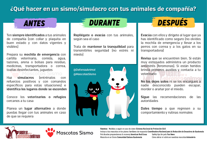 La cultura de la prevención puede hacer la diferencia ante un sismo.  👁👇