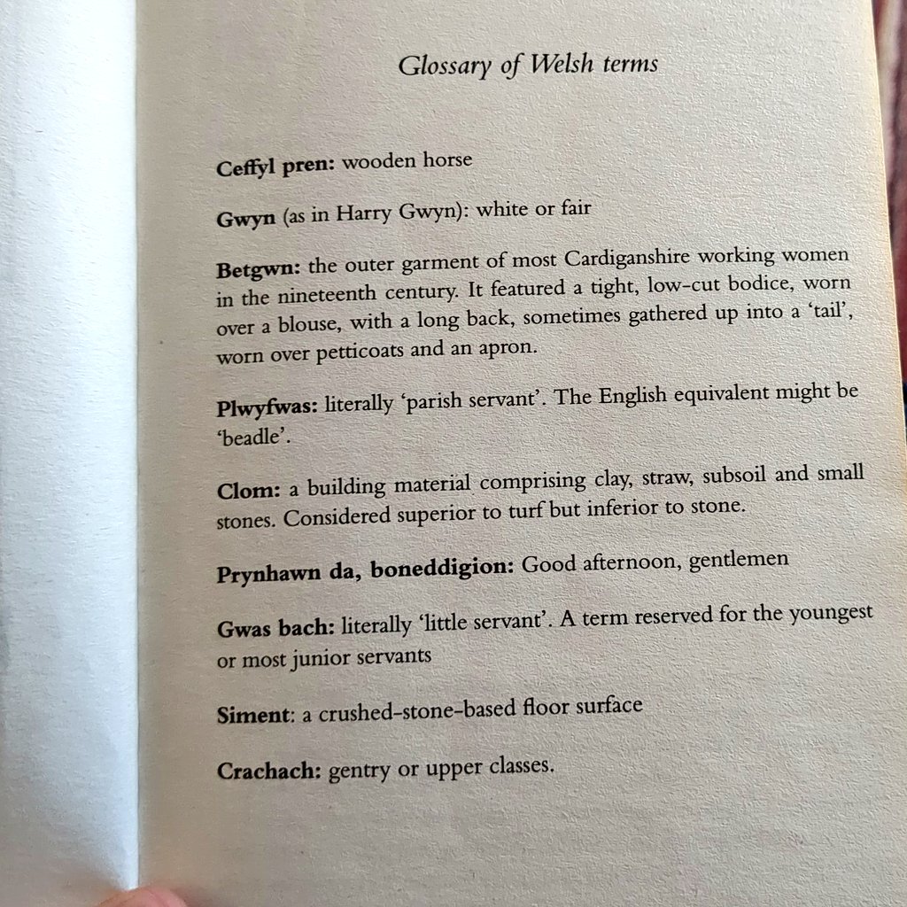 Always good to read a crime novel that starts with a glossary of Welsh terms