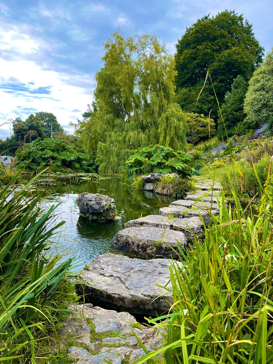 Good morning 🏞️.
Happy Hump Day.
Write about a place that brings you peace and rest.
🧘‍♂️ 🏖️ ✍️ 
Have a wonderful day.